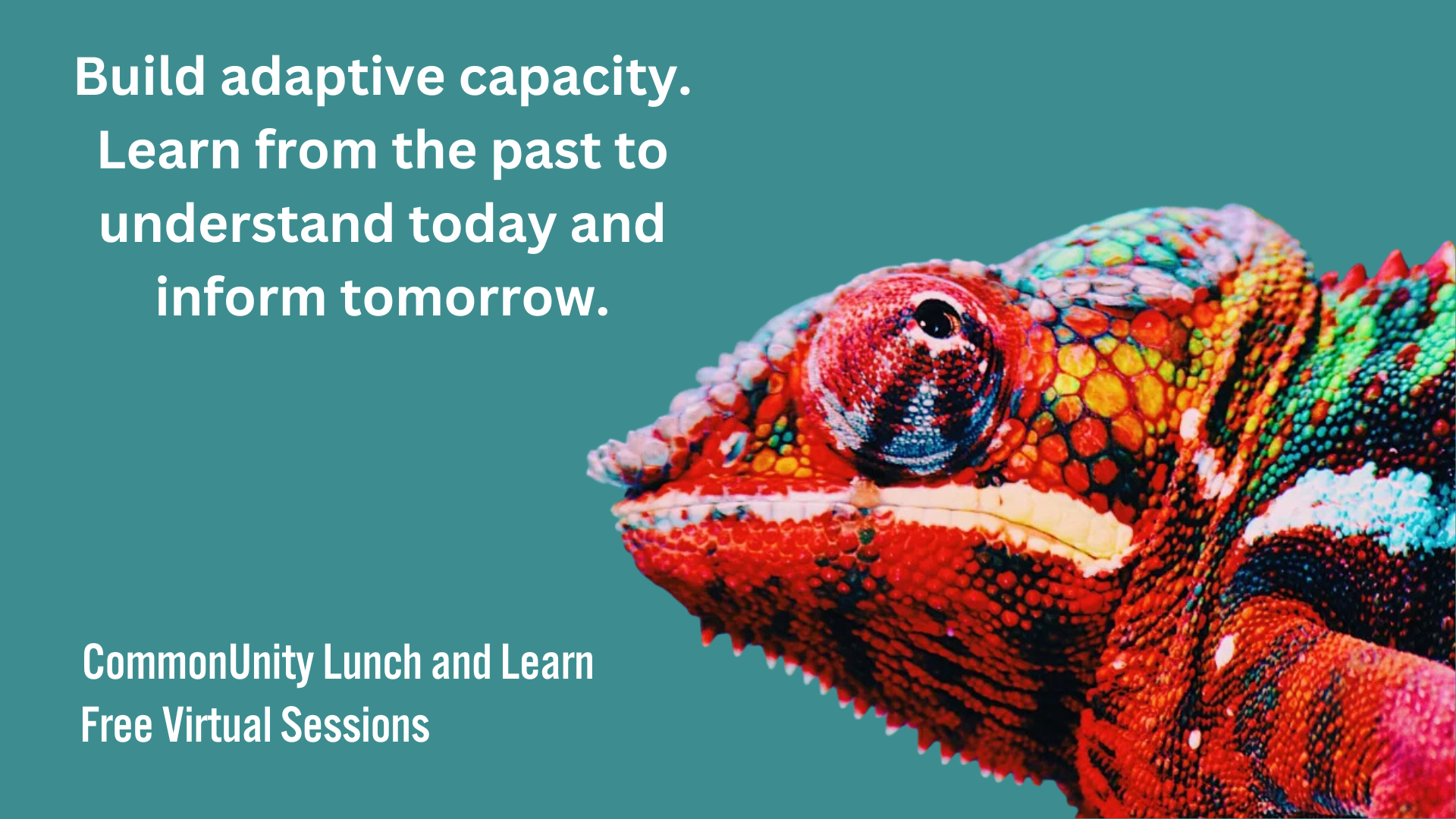 Event Promo Photo For Lunch and Learn | Building Adaptive Capacity
